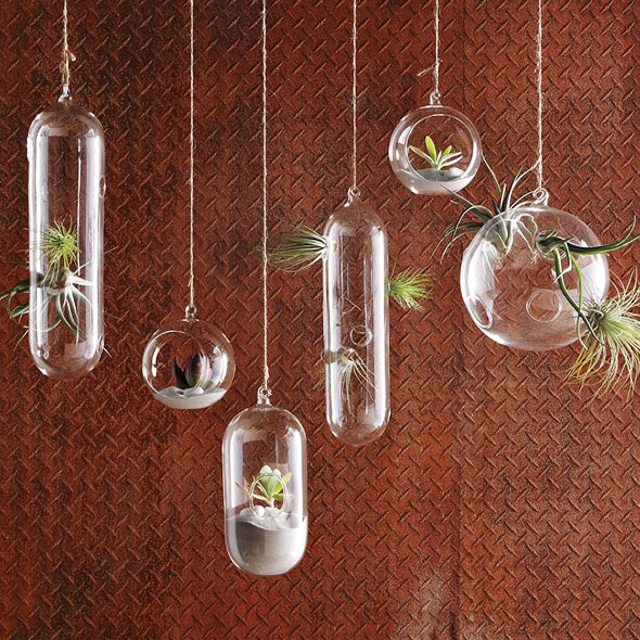 1 shane powers jariniere verre suspendues maxitendance com