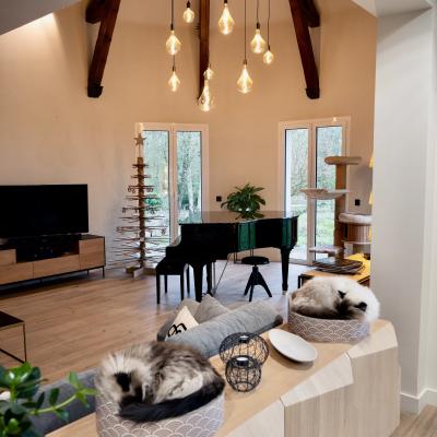Home renovation