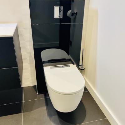 Wc geberit monolithique plus avec verre noir